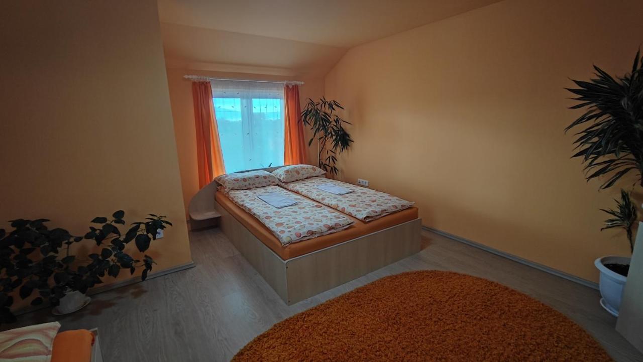 Gabriella Vendeghaz Hotel Lăzarea Екстериор снимка